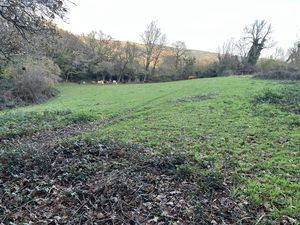 Photo 5- click for photo gallery